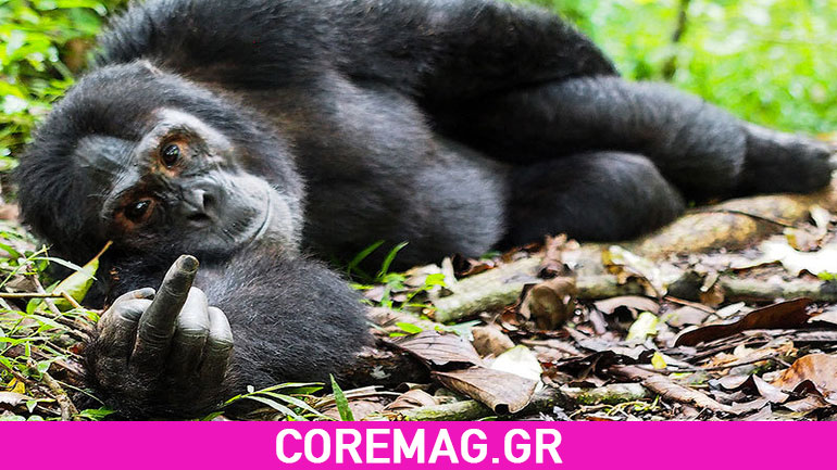 Οι πιο αστείες φωτογραφίες της εβδομάδας